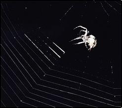 ��ô���˿�����Ƶ��������ͷ�֡�����������������������70�׸�ˮ��...